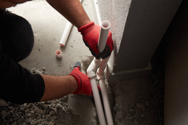 Best Clogged Drain Plumber  in Wartburg, TN